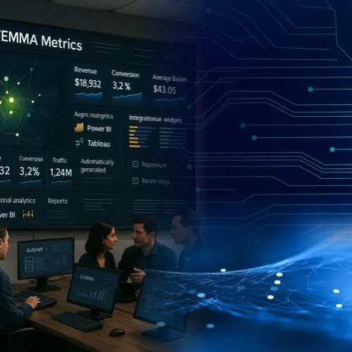STEMMA Metrics şəkil 1